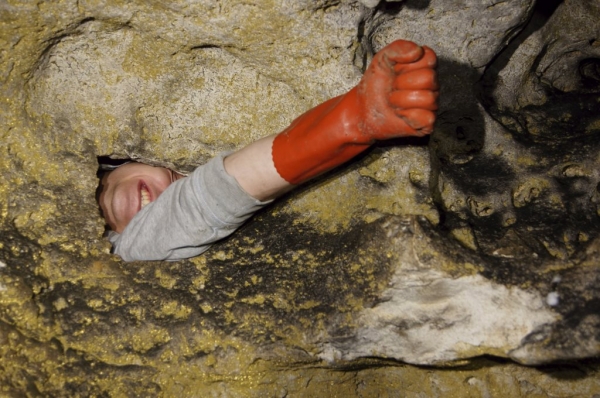Jaskinie Jurajskie: W Zielonej Górze, Towarna, Niedźwiedzia, Dzwonnica, Cabanowa i Studnisko